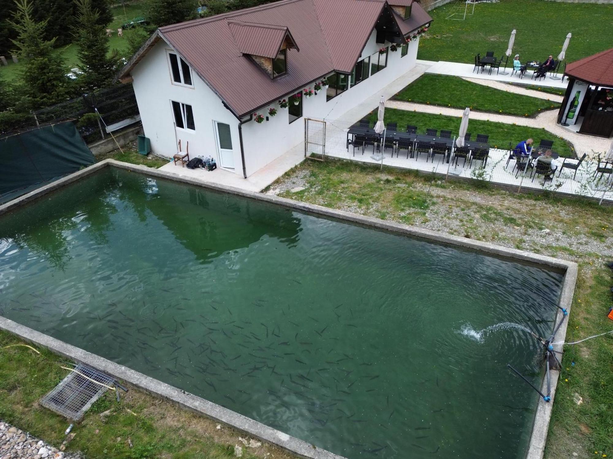 Cabana Izvoarele Doftanei Trăisteni Exterior foto